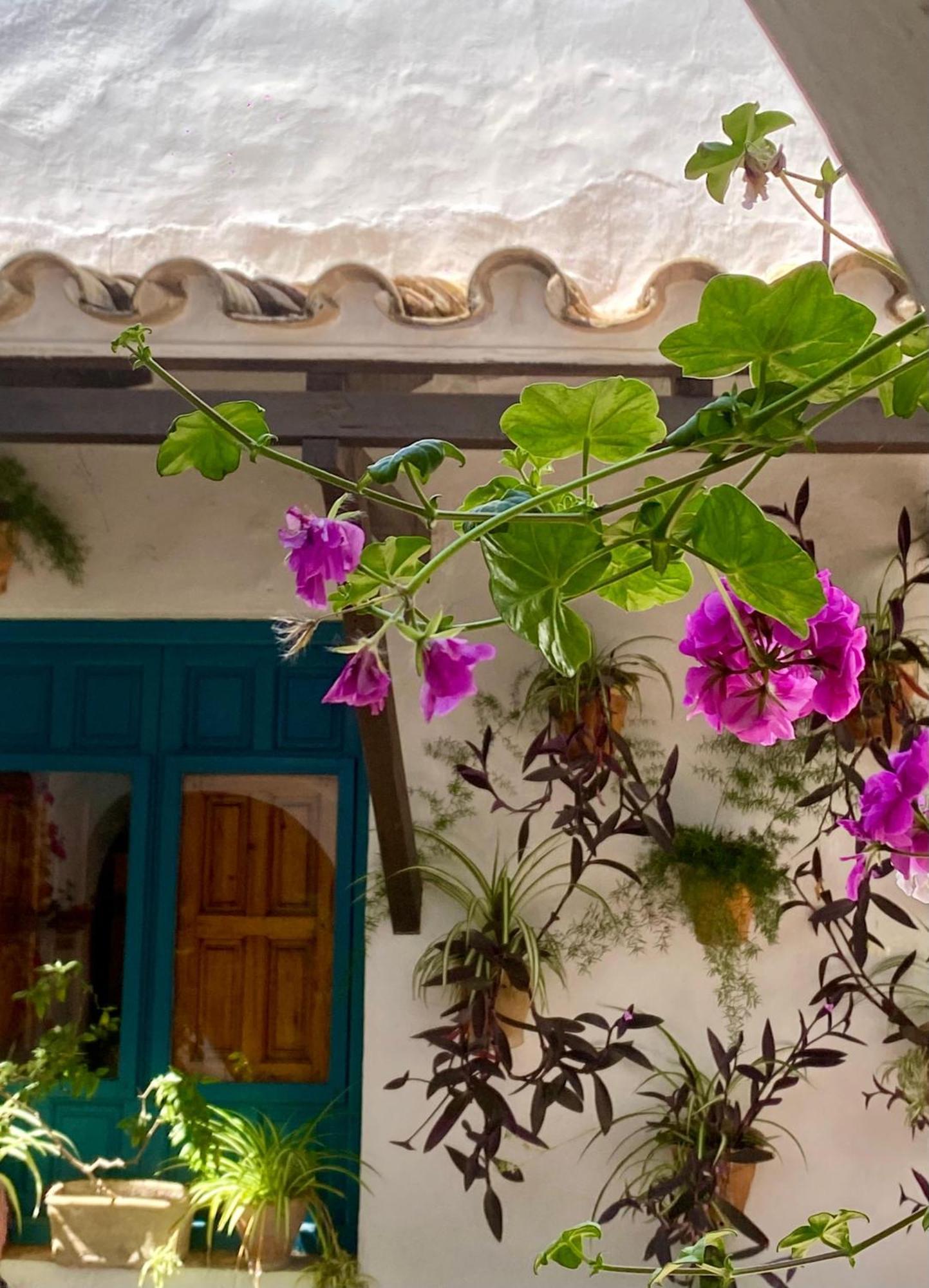 La Buganvilla De Santiago Cordoba Exterior photo