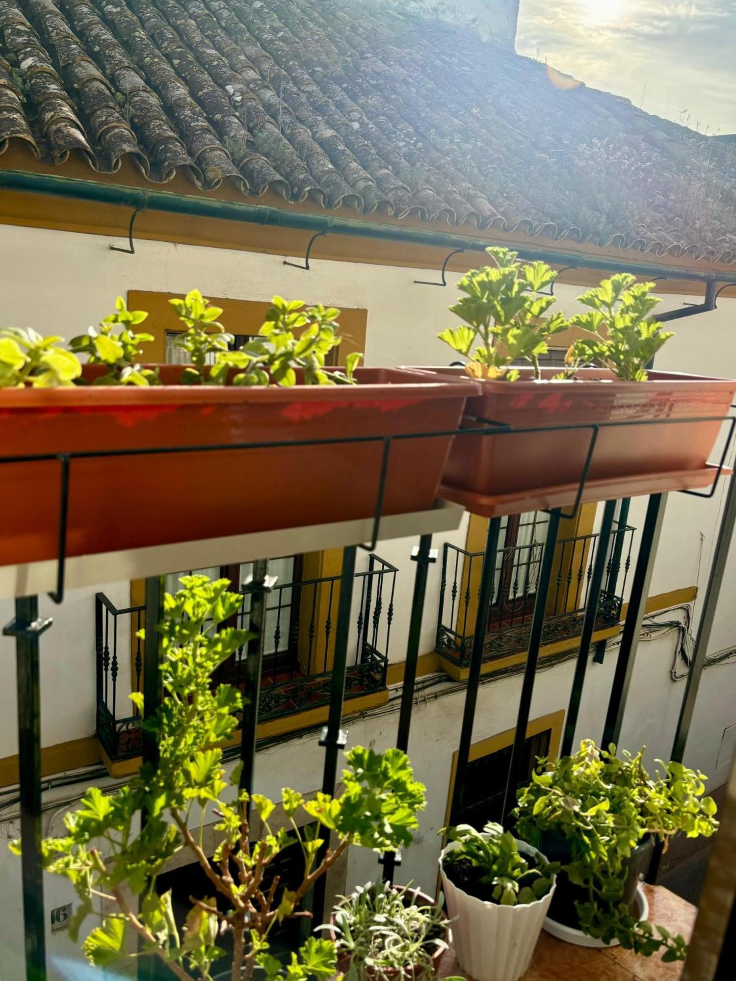 La Buganvilla De Santiago Cordoba Exterior photo